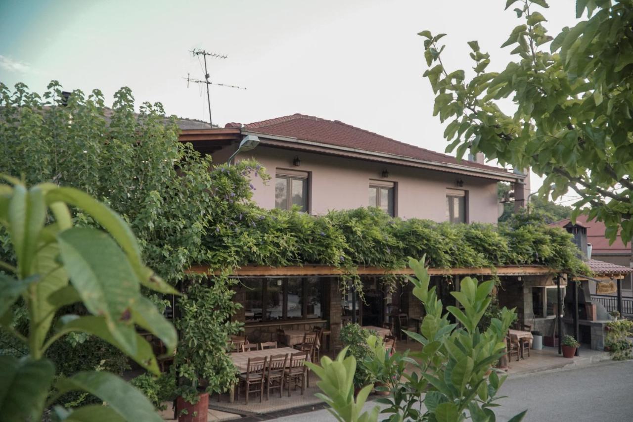 Arados Family Residence Kalampáka Ngoại thất bức ảnh